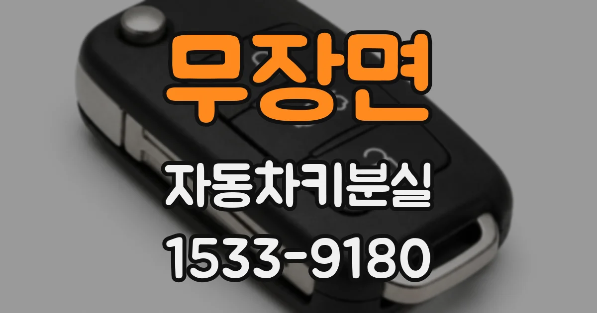 무장면 자동차키분실