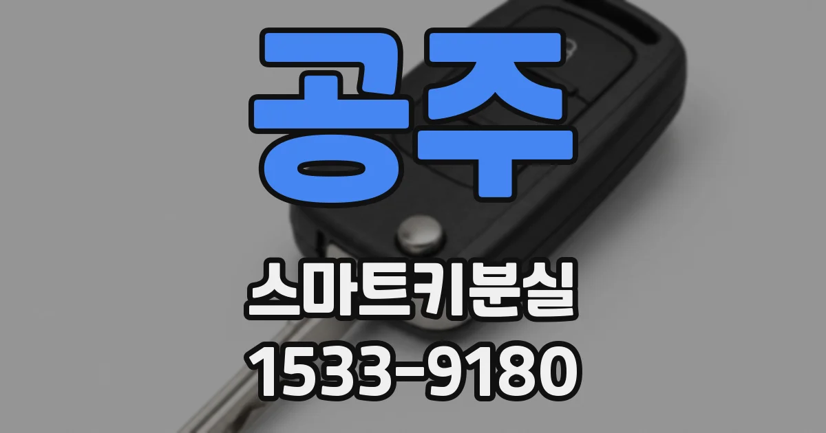 공주 스마트키분실