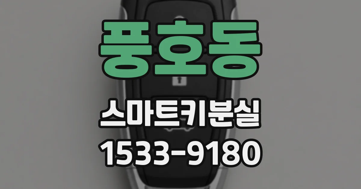 풍호동 스마트키분실