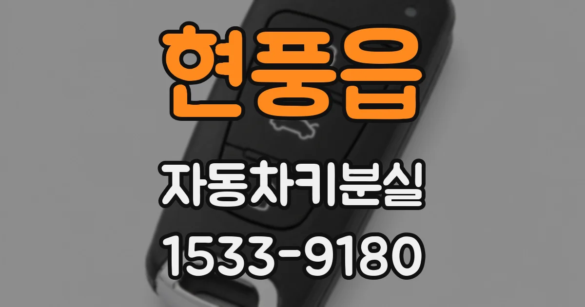 현풍읍 자동차키분실