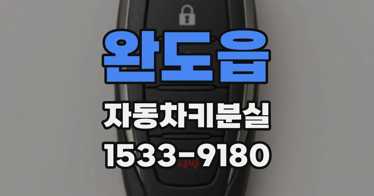 완도읍 자동차키분실