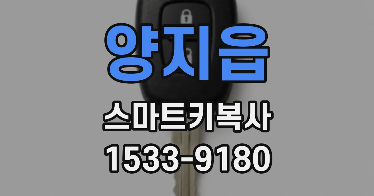 양지읍 스마트키복사
