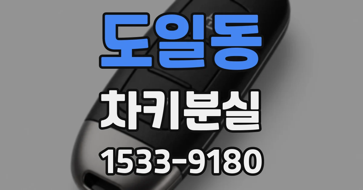 도일동 차키분실