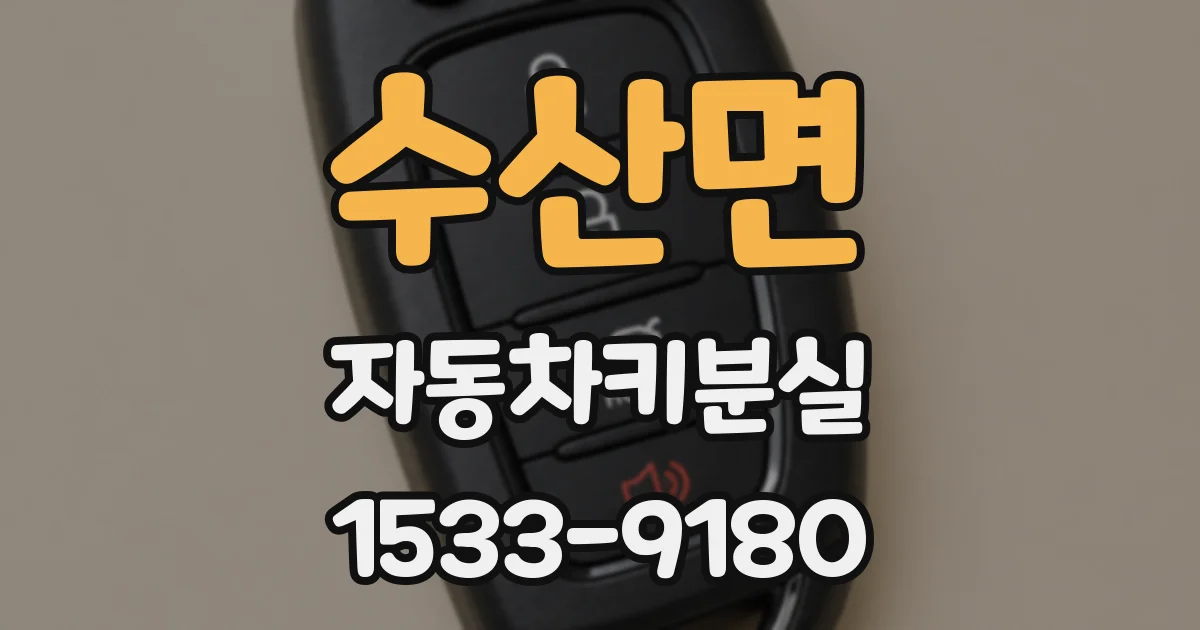 수산면 자동차키분실