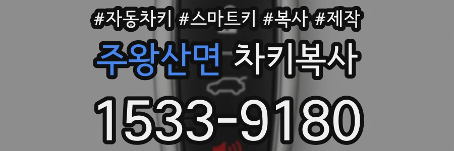 주왕산면 차키복사
