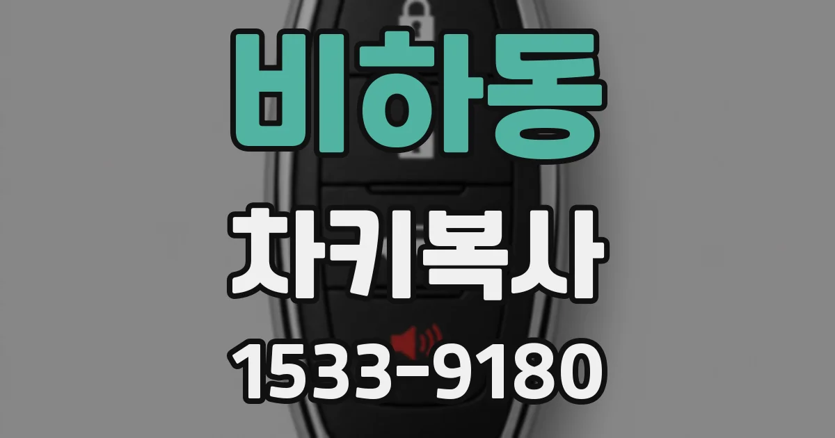 비하동 차키복사