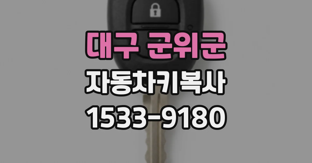대구 군위군 자동차키복사