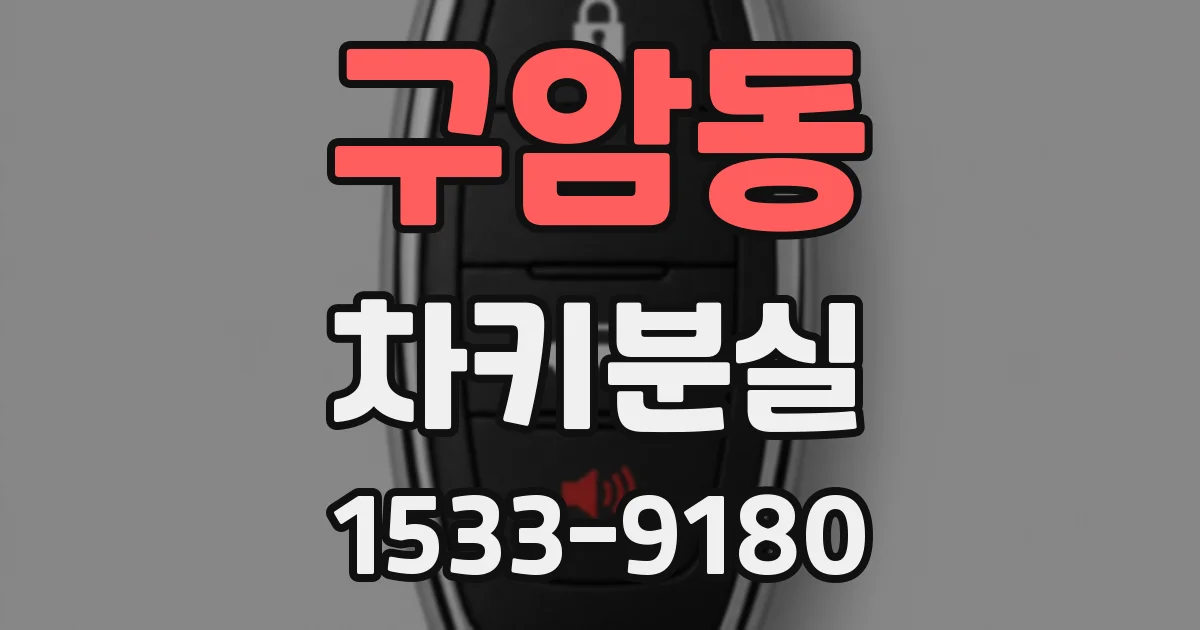 구암동 차키분실