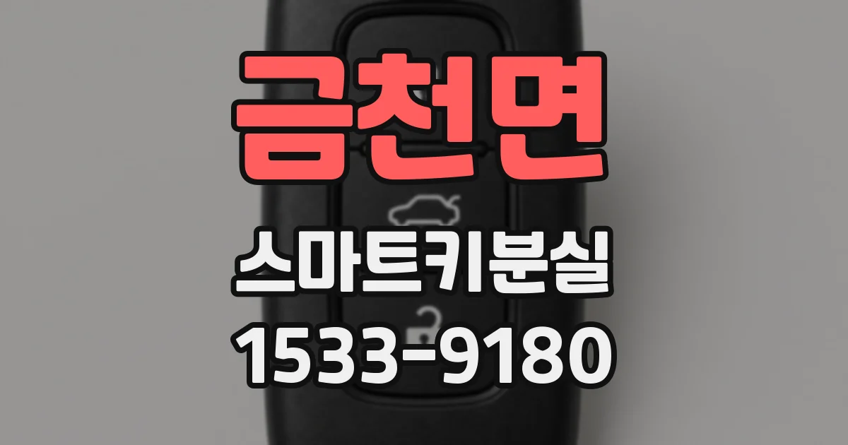 금천면 스마트키분실