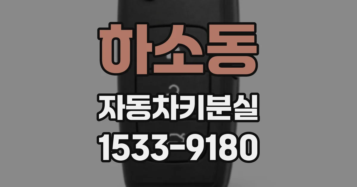 하소동 자동차키분실