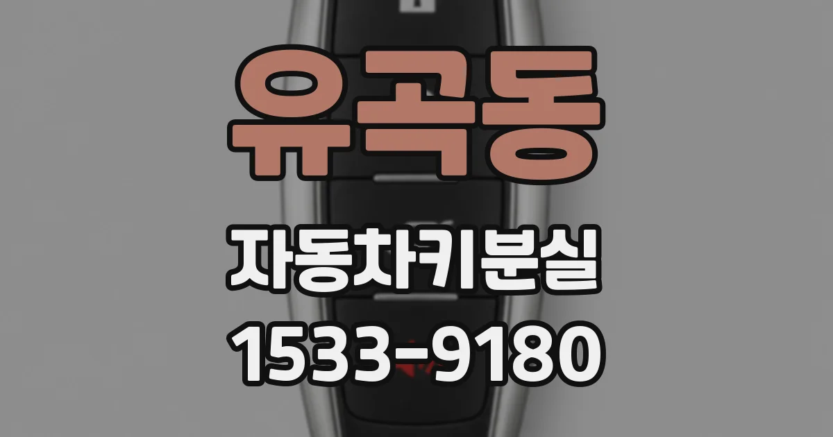 유곡동 자동차키분실
