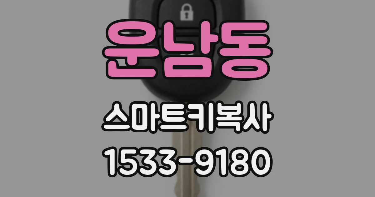 운남동 스마트키복사
