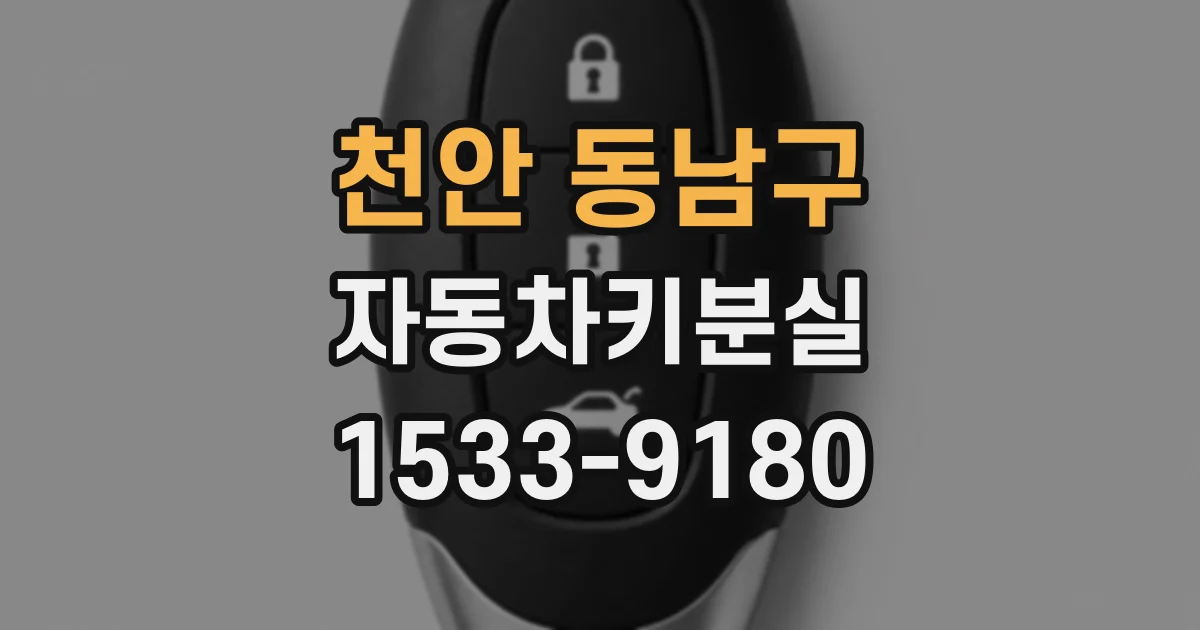 천안 동남구 자동차키분실