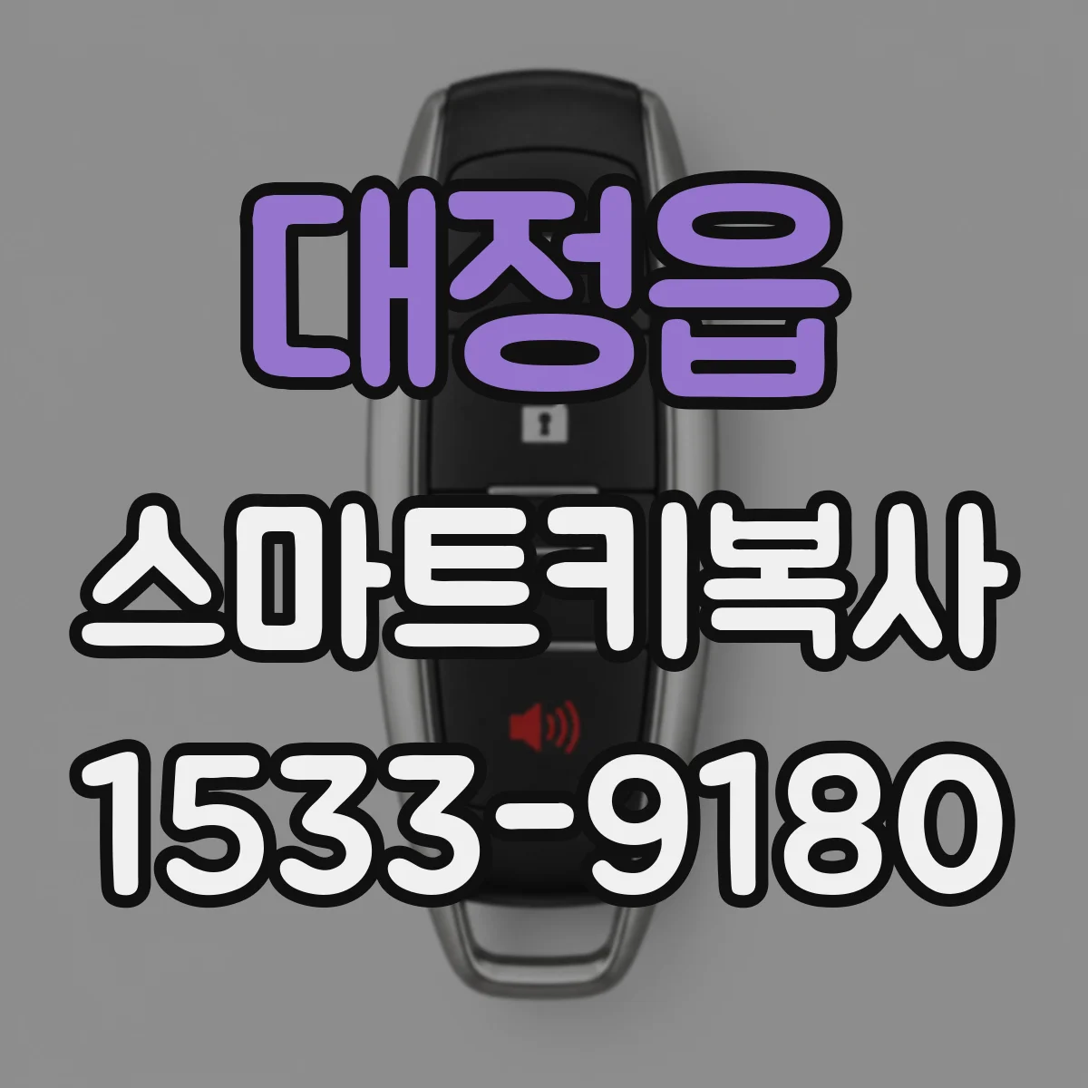 대정읍 스마트키복사