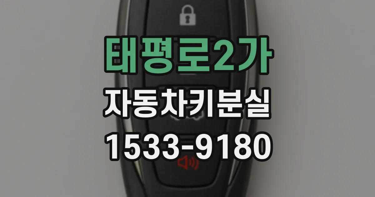 태평로2가 자동차키분실