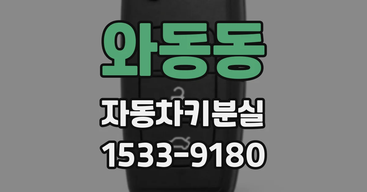 와동동 자동차키분실