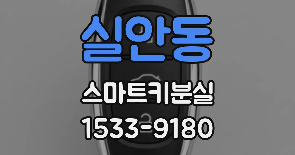 실안동 스마트키분실