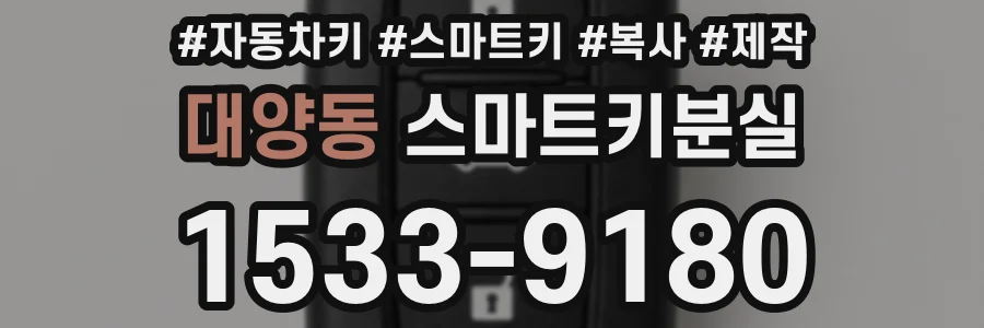 대양동 스마트키분실