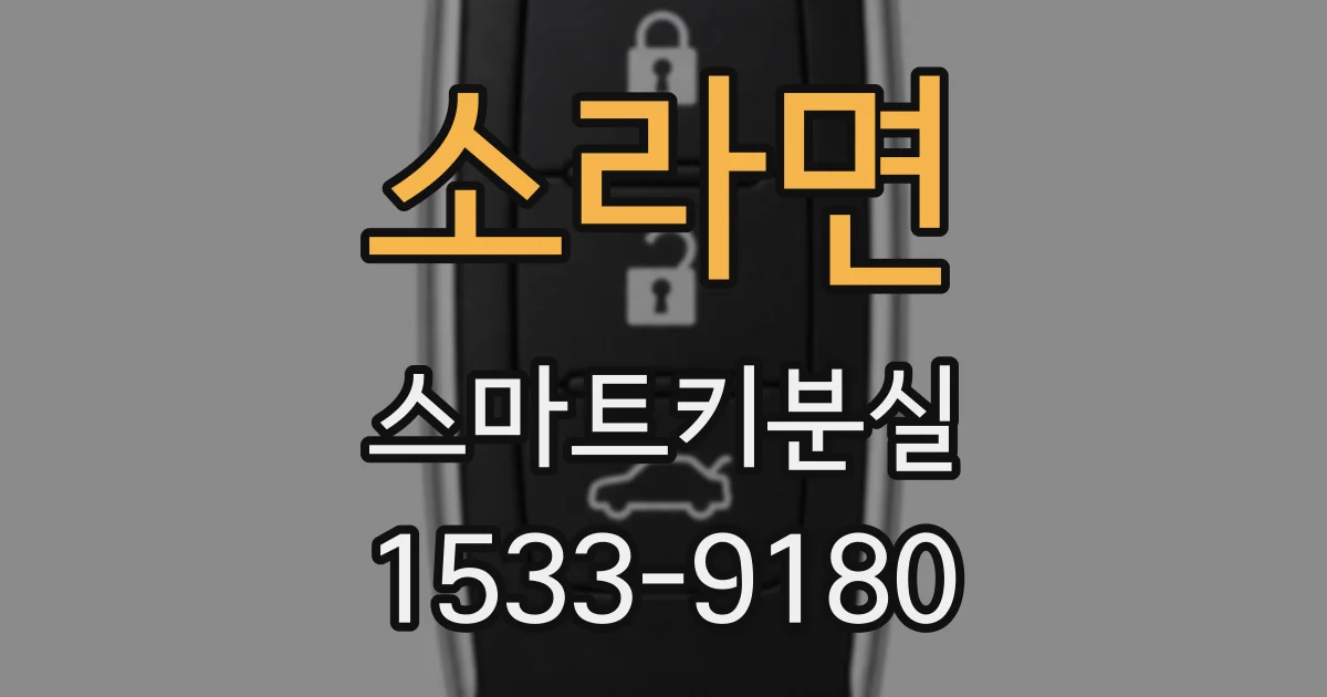소라면 스마트키분실