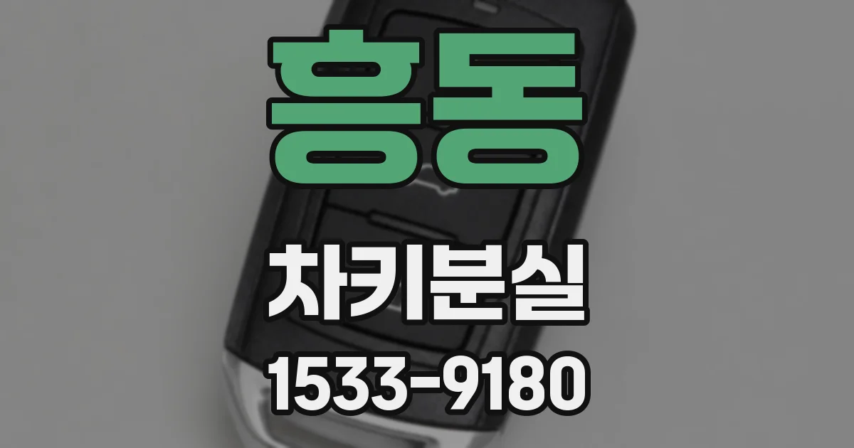 흥동 차키분실