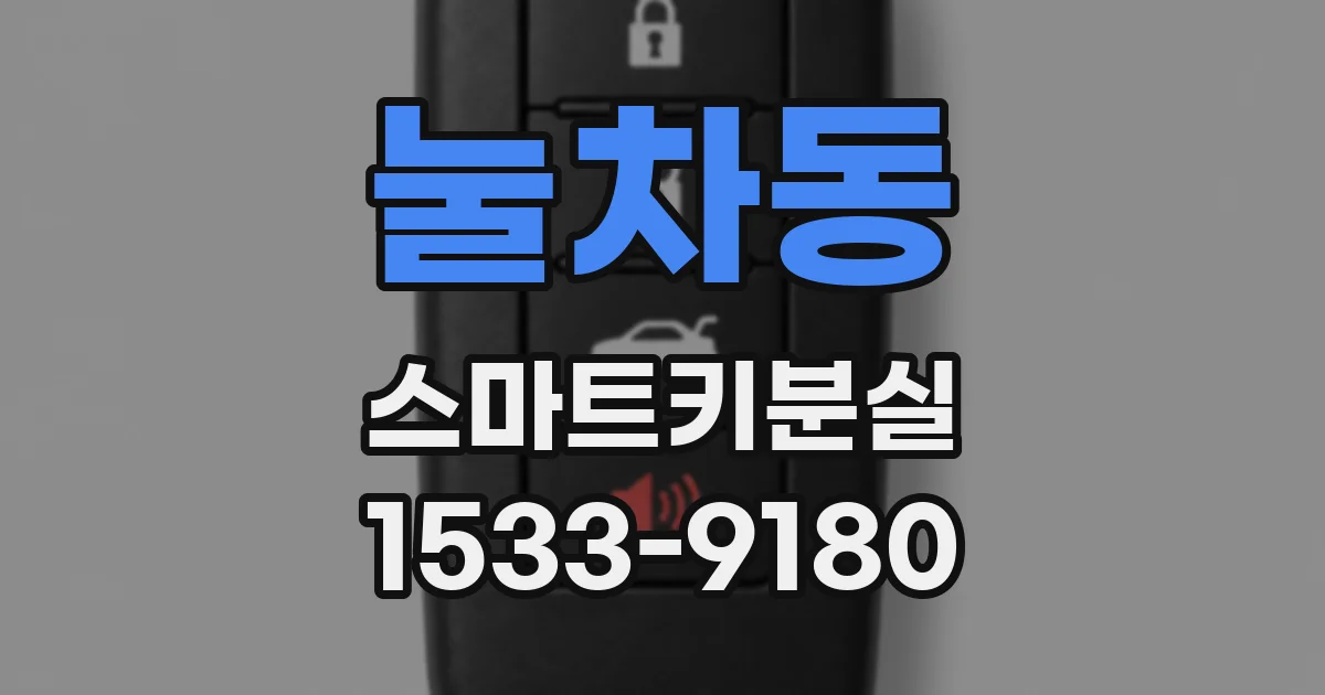 눌차동 스마트키분실