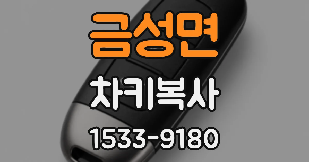 금성면 차키복사