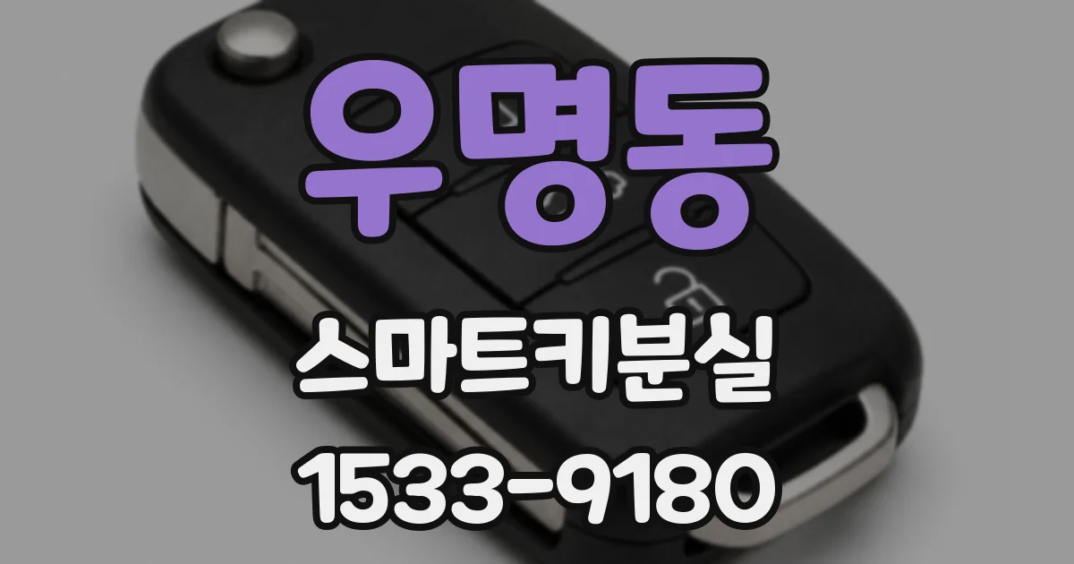 우명동 스마트키분실