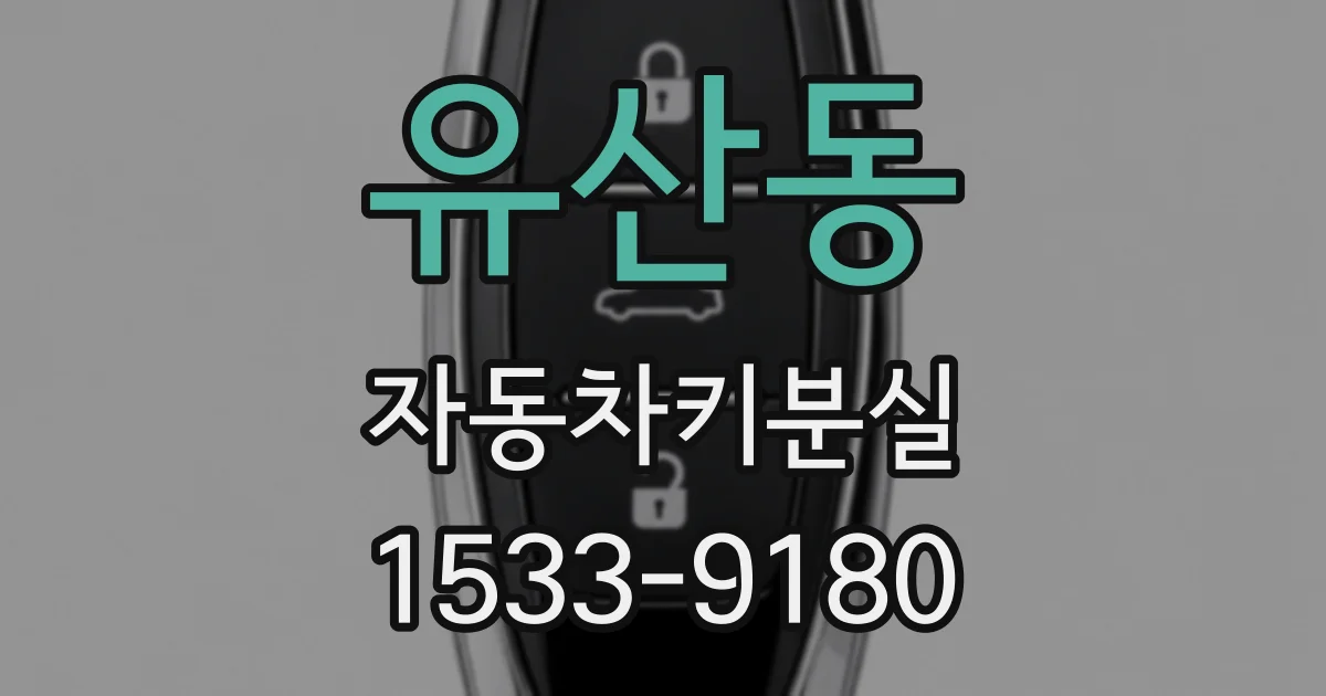 유산동 자동차키분실