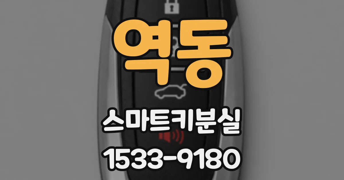 역동 스마트키분실