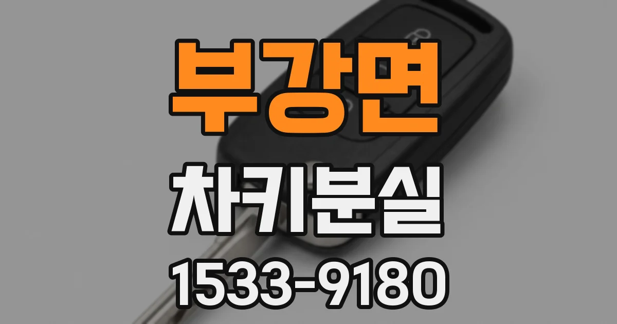 부강면 차키분실