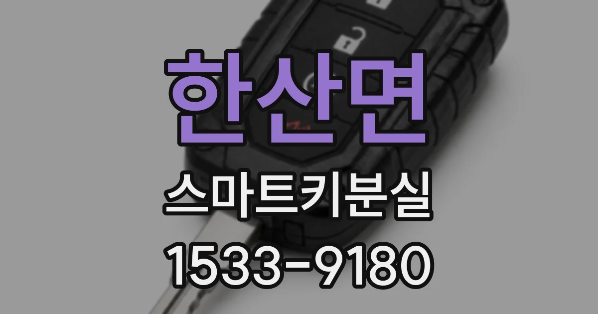 한산면 스마트키분실