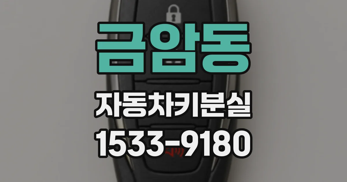 금암동 자동차키분실