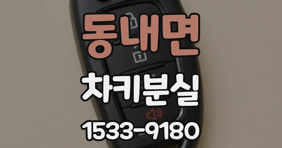 동내면 차키분실