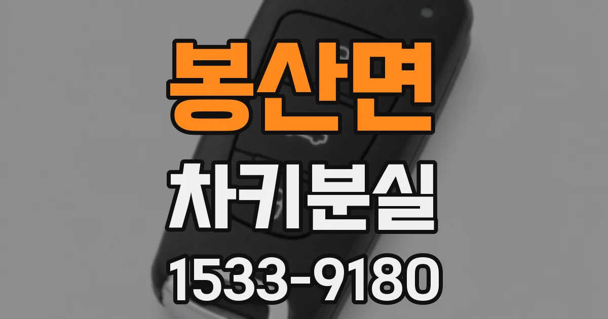 봉산면 차키분실