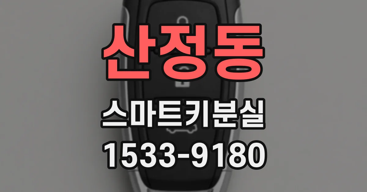 산정동 스마트키분실