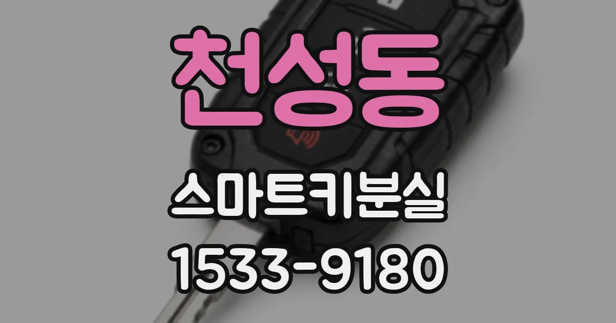 천성동 스마트키분실