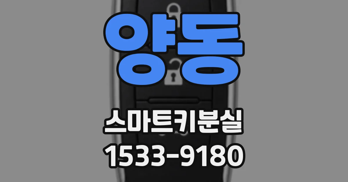 양동 스마트키분실