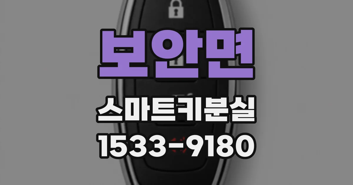 보안면 스마트키분실