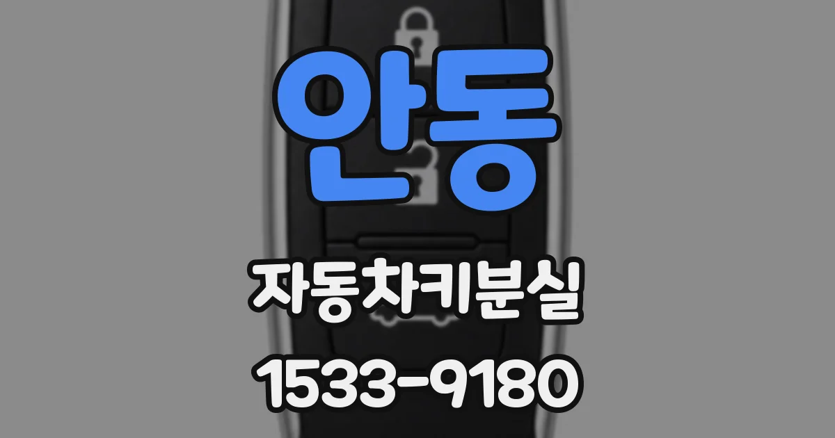 안동 자동차키분실
