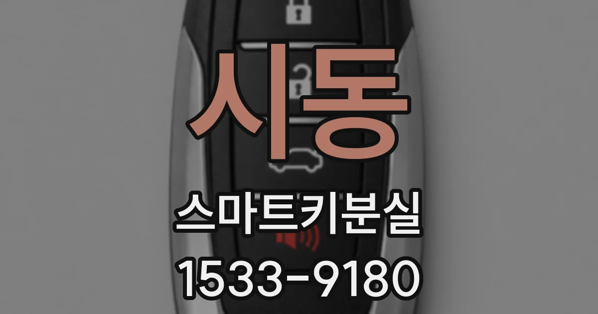 시동 스마트키분실
