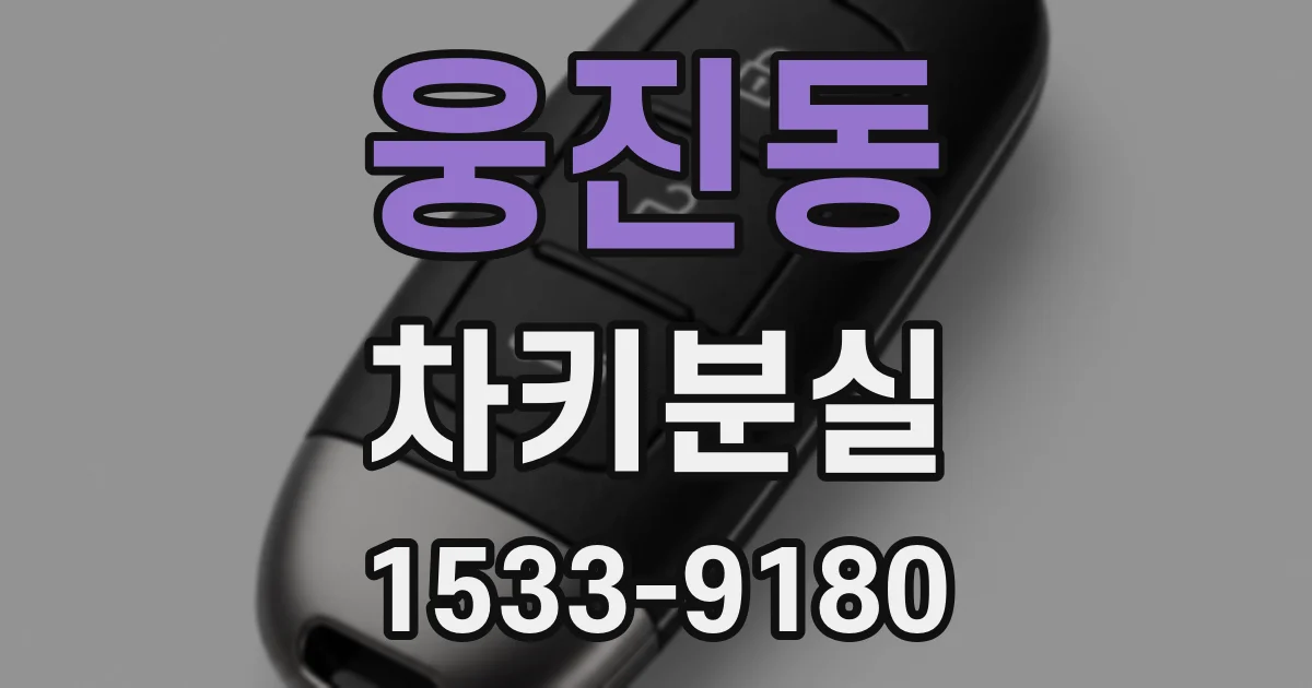 웅진동 차키분실