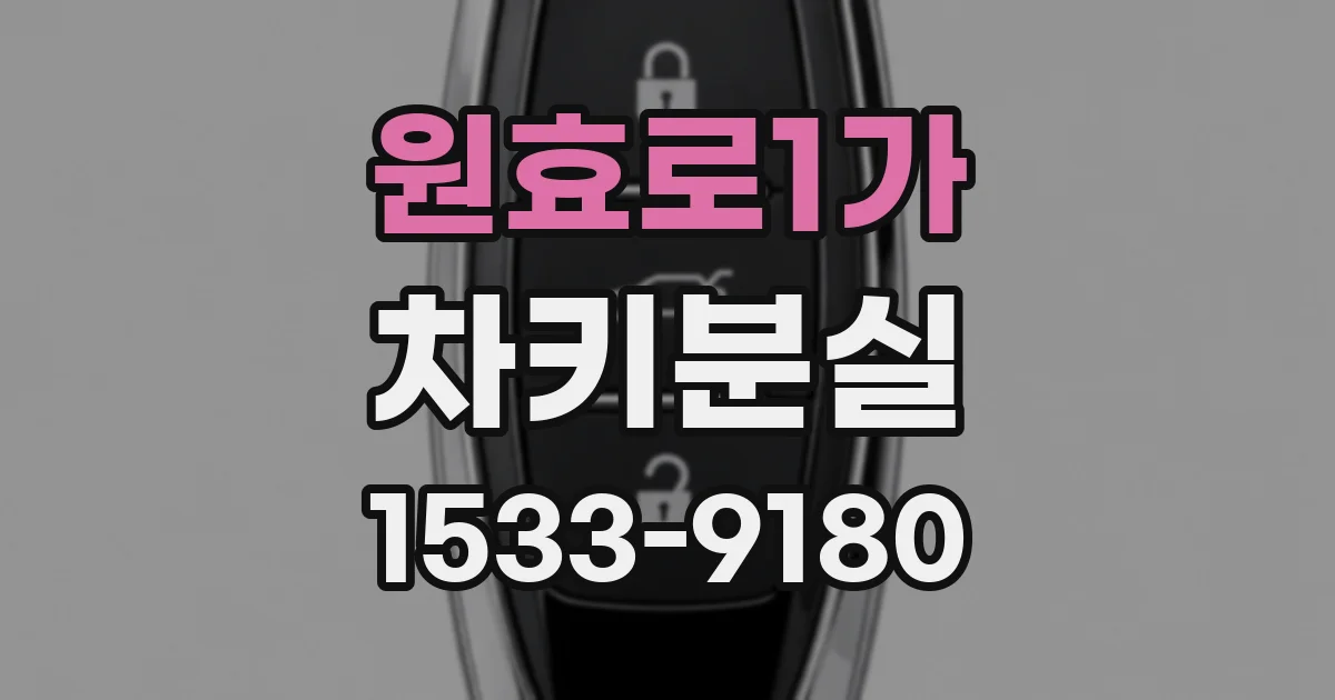 원효로1가 차키분실