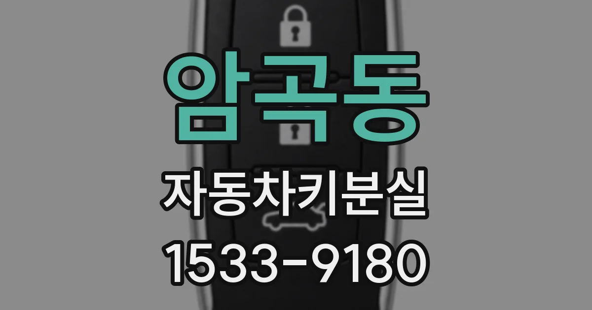 암곡동 자동차키분실