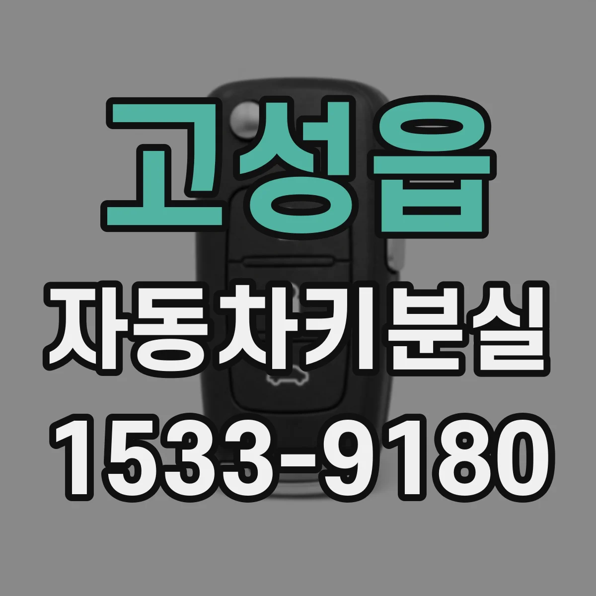 고성읍 자동차키분실