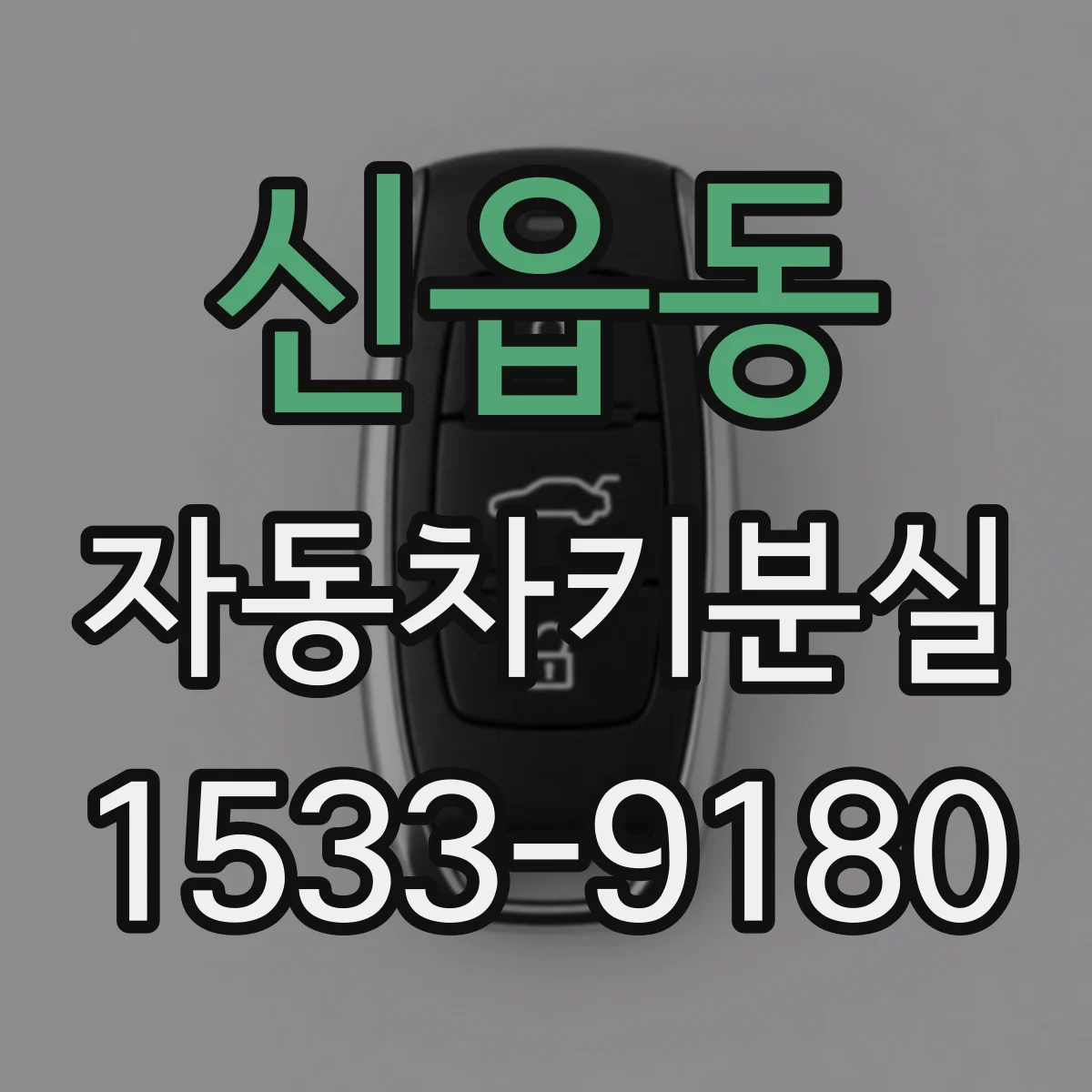 신읍동 자동차키분실