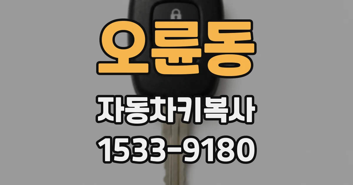 오륜동 자동차키복사
