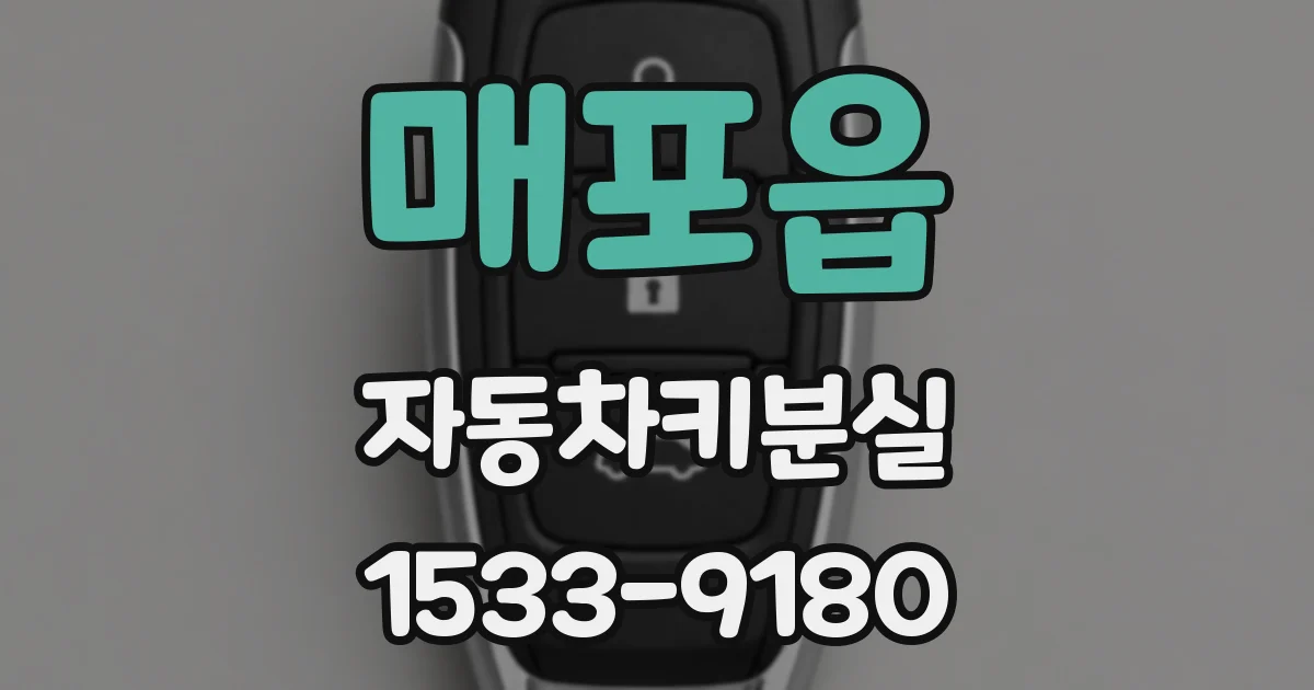 매포읍 자동차키분실
