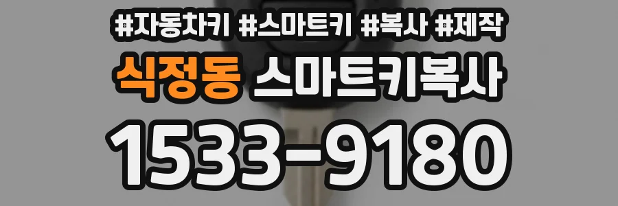식정동 스마트키복사