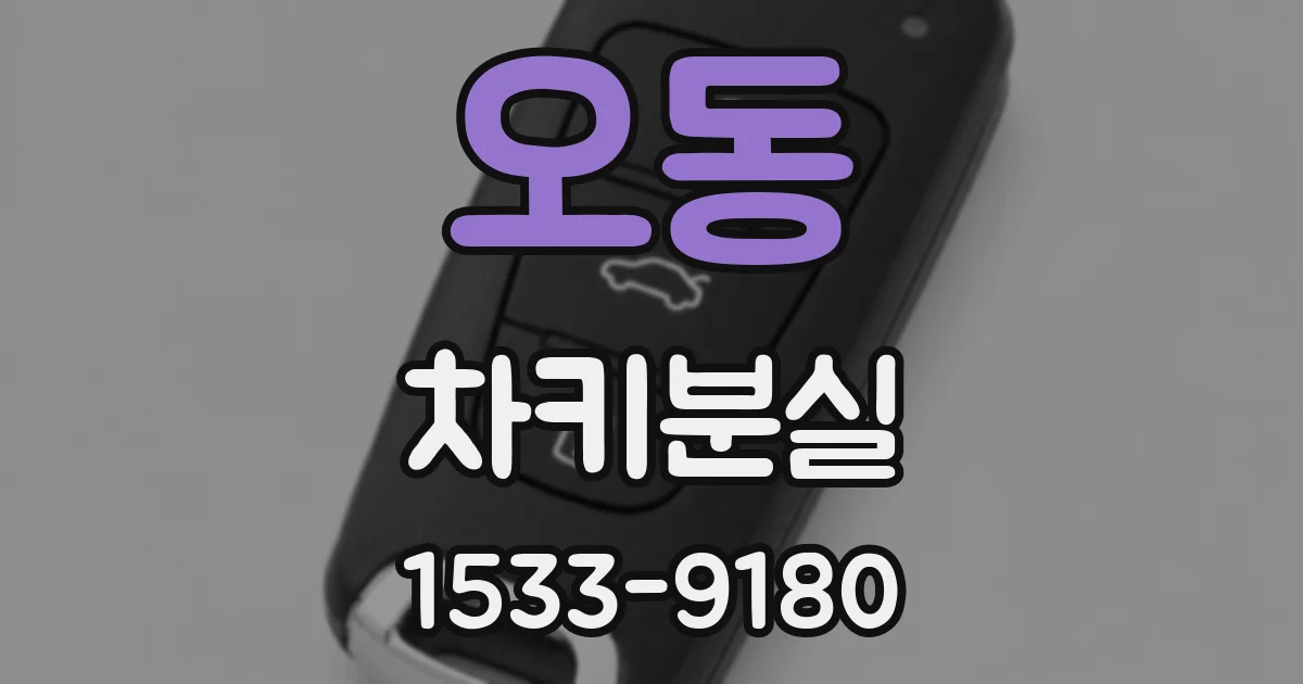 오동 차키분실