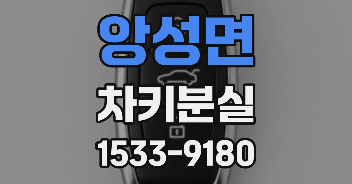 앙성면 차키분실